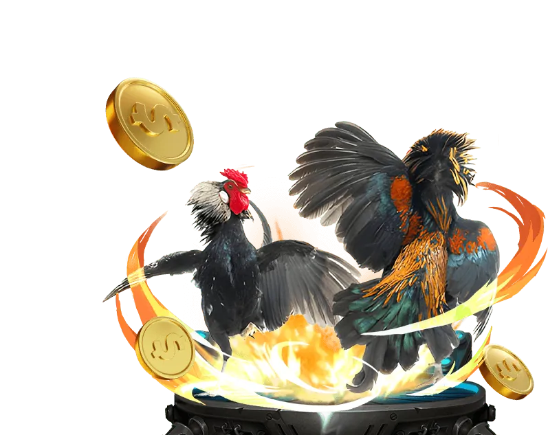Hỗ trợ khách hàng 24/7 của Go666